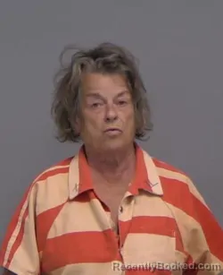 Mugshot of DEBRAH LEE CALLISON booked in Nassau County, Florida on March 31, 2026