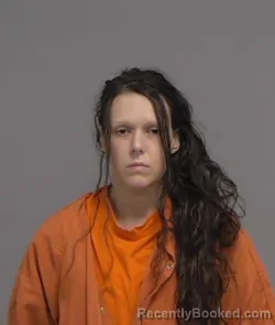 Mugshot of BRANDI NICOLE LAYTON booked in Nassau County, Florida on March 31, 2026