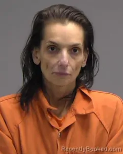 Mugshot of JANNIE NANCY TINELLI booked in Nassau County, Florida on April 2, 2026