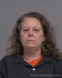 Mugshot of DEBRA ANGELA KINNEY booked in Nassau County, Florida on April 2, 2026