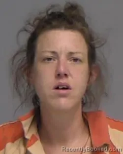 Mugshot of SARA ELIZABETH SIMMONS booked in Nassau County, Florida on April 3, 2026