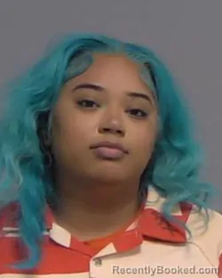 Mugshot of ANNIYAH ANDERSON booked in Nassau County, Florida on April 4, 2026