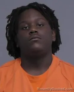 Mugshot of SAVION MARLO LOTT booked in Nassau County, Florida on April 5, 2026