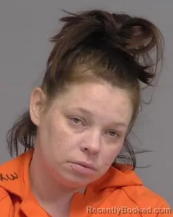 Mugshot of DONNA ANN LUMPKIN booked in Nassau County, Florida on April 7, 2026