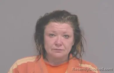 Mugshot of THERESA JEAN PFISTER booked in Nassau County, Florida on April 27, 2026