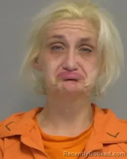 Mugshot of ANNAMARIE AILENE BAISDEN booked in Nassau County, Florida on May 10, 2026
