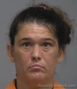 Mugshot of TINA MARIE COMBS booked in Nassau County, Florida on May 20, 2026