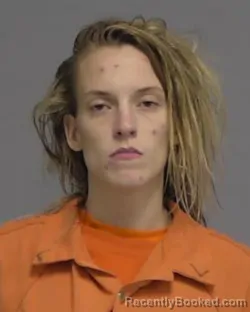 Mugshot of MARGARET LOUISE HARDIN booked in Nassau County, Florida on June 3, 2026