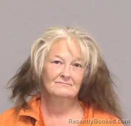 Mugshot of Donna Lynn Hendrix