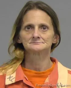 Mugshot of ELIZABETH JOY WILSON booked in Nassau County, Florida on June 15, 2026