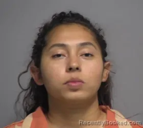 Mugshot of DEYLIN YOLIBETH ALVARADO MEJIA booked in Nassau County, Florida on June 20, 2026