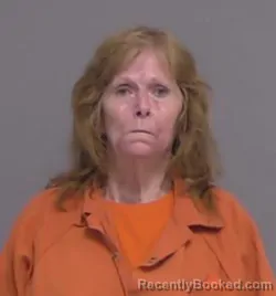 Mugshot of PATRICIA ANN VINING booked in Nassau County, Florida on June 30, 2026