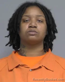 Mugshot of MORGAN SHANIQUE BROOKINS booked in Nassau County, Florida on July 2, 2026
