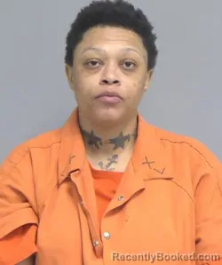 Mugshot of LASHUNDRA MONAE MILLER booked in Nassau County, Florida on July 9, 2026