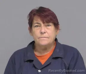 Mugshot of KARIN JONES CLARK booked in Nassau County, Florida on July 29, 2026