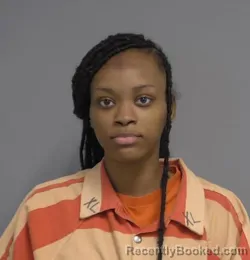 Mugshot of BRANDY LEAH HOLLOMAN booked in Nassau County, Florida on August 3, 2026