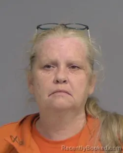 Mugshot of Holly Diane Jeffries booked in Nassau County, Florida on August 17, 2026