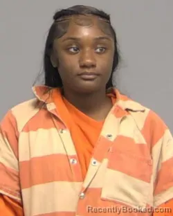 Mugshot of Tyxonna Eniea Stevens booked in Nassau County, Florida on September 8, 2026
