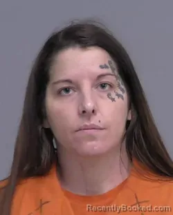 Mugshot of SARA MARIE NELSON booked in Nassau County, Florida on March 13, 2026