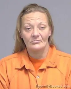 Mugshot of NICOLE MICHELLE JOHNSON