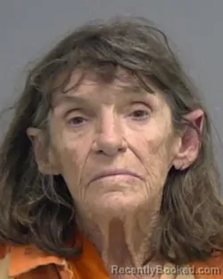 Mugshot of DEBORAH HASH LICKLITER booked in Nassau County, Florida on March 6, 2026