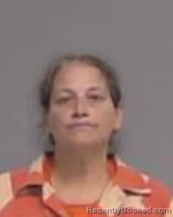 Mugshot of SUSAN NICOLE CAMP