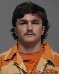 Mugshot of DAVID WAYNE NUGENT