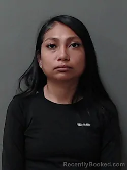 Mugshot of Tahery Lucia Ayala Saldierna
