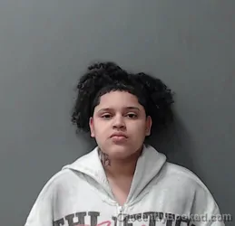 Mugshot of Alyssa Leonette Wells