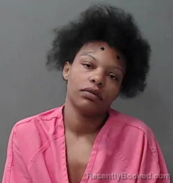 Mugshot of Tunsia Ann Young