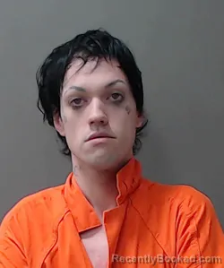 Mugshot of Joseph Shane Horn