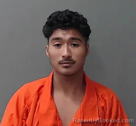 Mugshot of Kevin Fausto Sevilla booked in Waller County, Texas on July 29, 2026