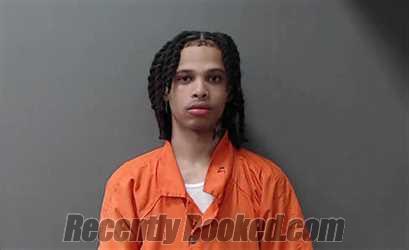 Booking photo from Waller County, Texas