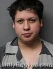 Mugshot of JOSE ANGEL MONTES