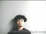 Mugshot of NELSON DAVID RAMIREZ MEJIA