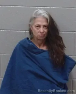 Mugshot of Tonya Dawn Fox