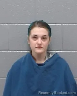 Mugshot of Bri Elizabeth Wright