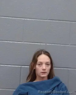 Mugshot of Destyne Layne Partney
