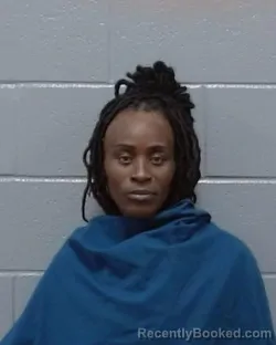 Mugshot of Stephanie Denise Manuel booked in Wichita County, Texas on March 25, 2026