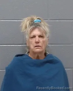 Mugshot of Danette Leeann Hillner booked in Wichita County, Texas on March 30, 2026