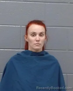 Mugshot of Taylorann Marie Shimmin booked in Wichita County, Texas on April 5, 2026