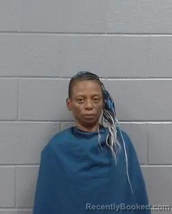 Mugshot of Tamekia Cameyette Hodges booked in Wichita County, Texas on May 14, 2026