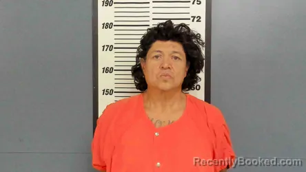 Mugshot of GEORGE JR SOLIS