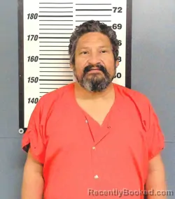 Mugshot of JULIAN JR BESERRA