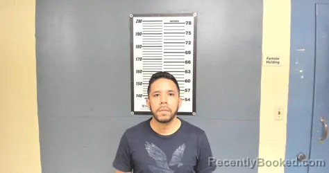 Mugshot of ANDRES LLANAS