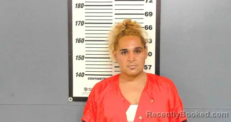 Mugshot of FRANCISCO JAVIER RAMIREZ