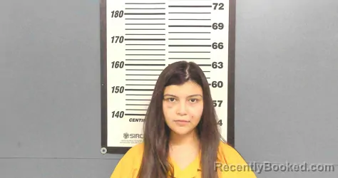Mugshot of YAZMIN VILLARREAL