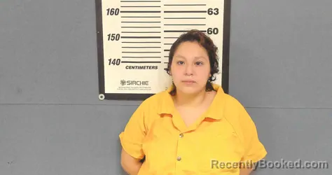 Mugshot of LYDIA ESTRELLA DE LOS SANTOS booked in Willacy County, Texas on May 28, 2026