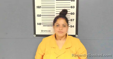 Mugshot of MARISA ANITA MENDEZ booked in Willacy County, Texas on June 5, 2026