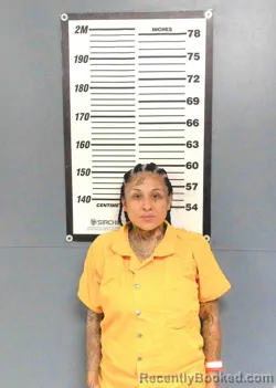 Mugshot of Aracely Fonsecsa Cisneros booked in Willacy County, Texas on August 14, 2026